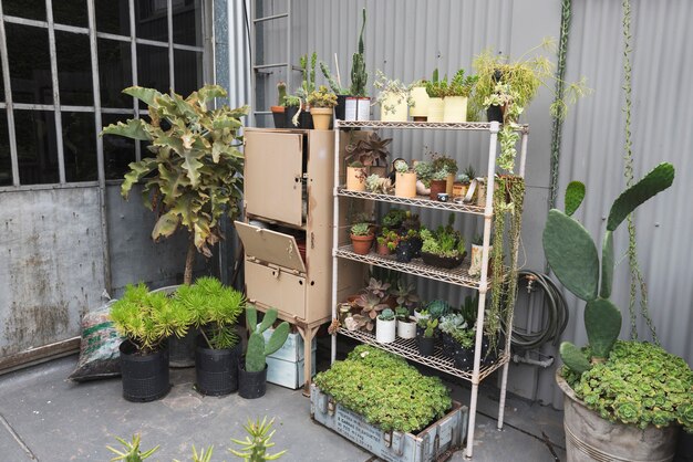 Jakie korzyści płyną z przechowywania na balkonie?