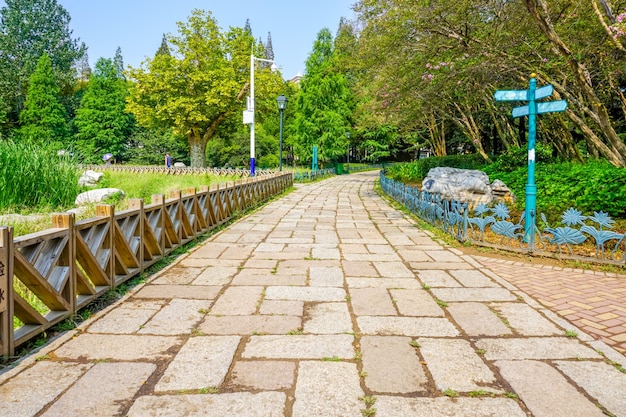 Jak wybrać idealną kostkę brukową do swojego ogrodu?